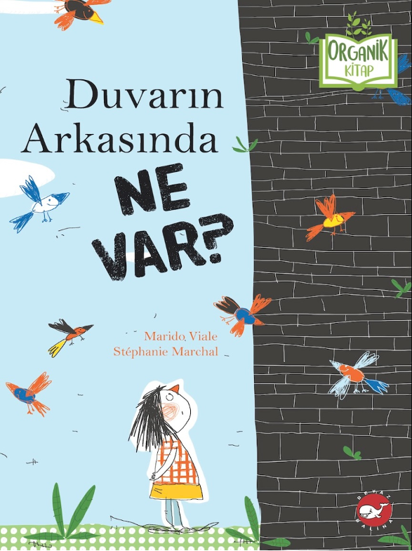 Duvarın Arkasında Ne Var? - Organik Kitap