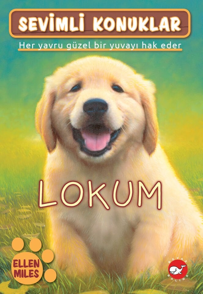 Sevimli Konuklar 1 - Lokum