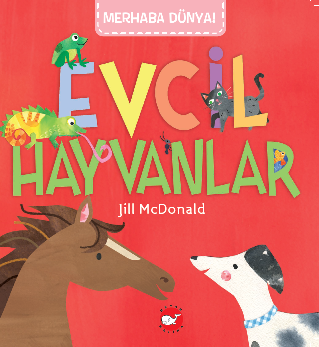 Merhaba Dünya - Evcil Hayvanlar