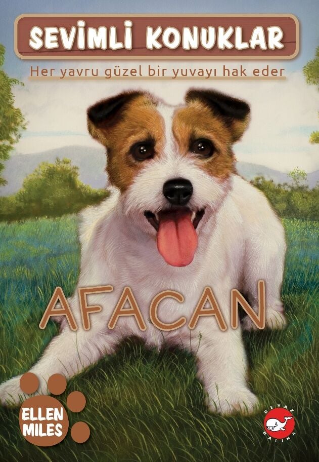 Sevimli Konuklar 4 - Afacan